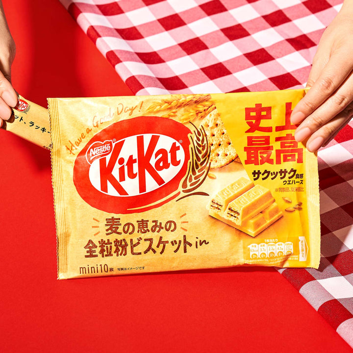 Hands holding a Nestle Japan Whole Wheat Cookie Kit Kat package with the flavor text in Japanese and English, aimed at health-conscious snackers, over a red and white checkered background.