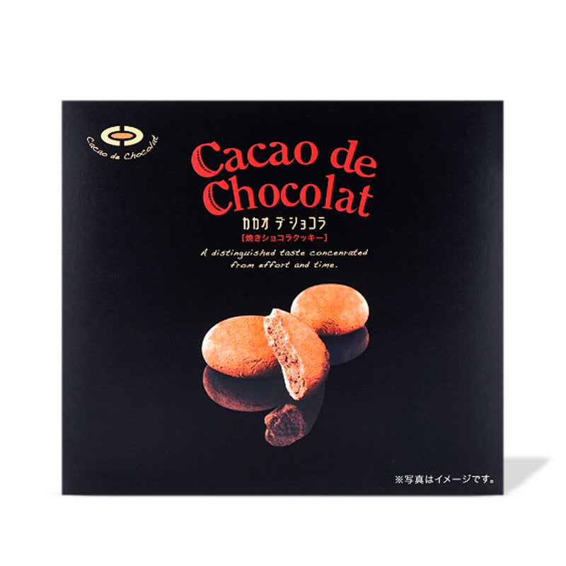 Shoei Cacao De Chocolat Cookies Gift Box (15 pieces)