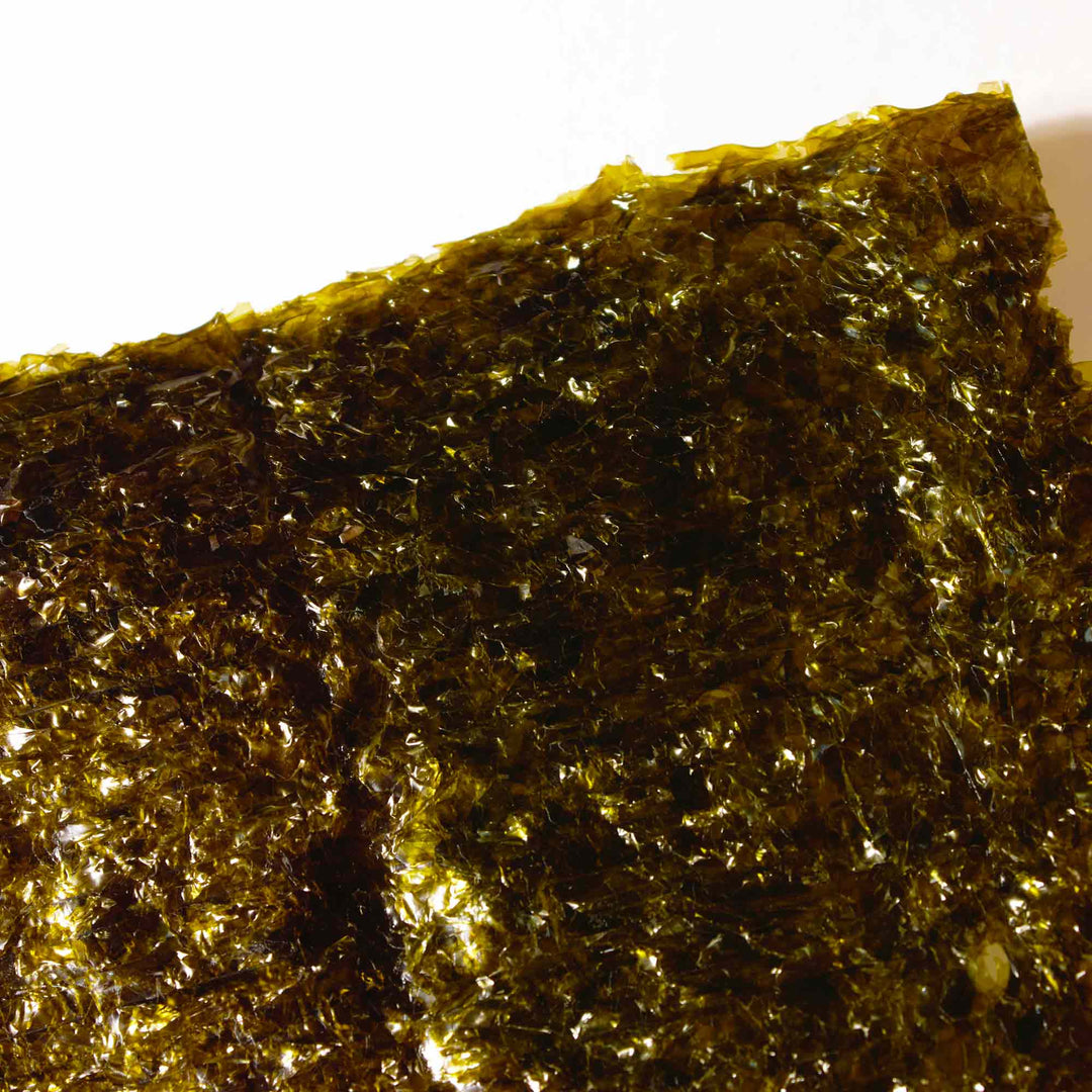 A piece of Shirako Temaki Nori Seaweed for Hand Rolls (10 Sheets) on a white surface.