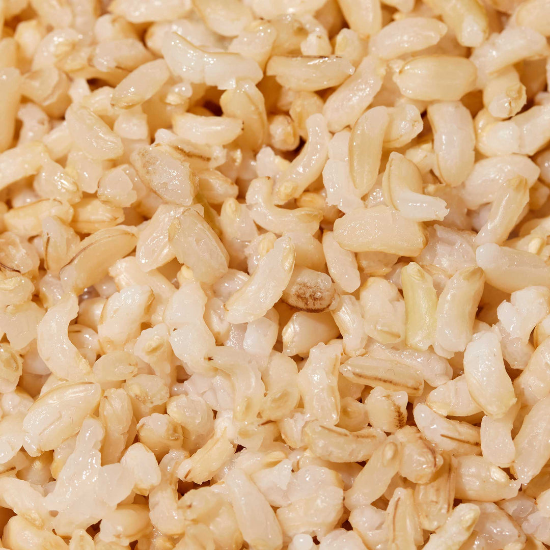 Nishiki Premium Steamed Brown Rice