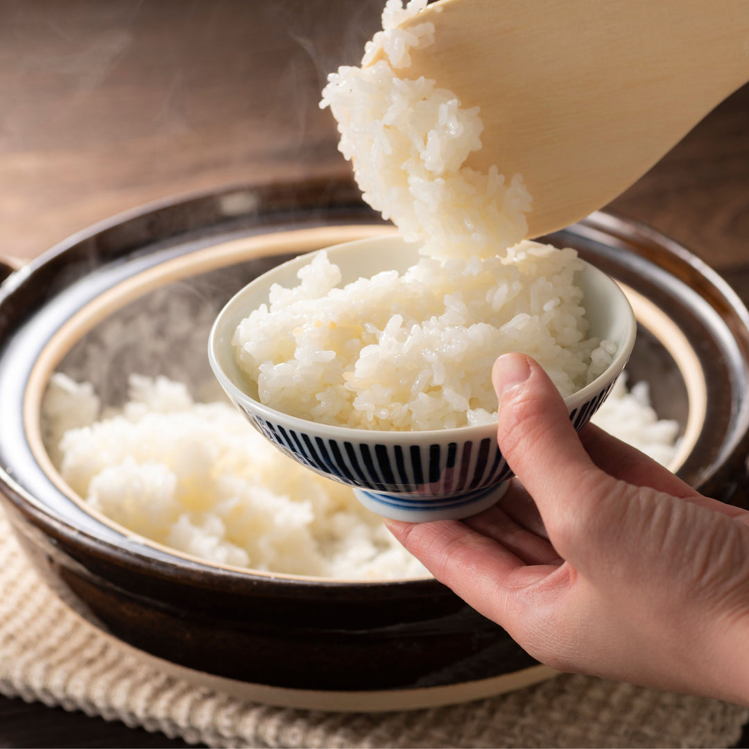 A person is scooping Fujii Niigata Iwafune Koshihikari Rice: 4.4 lb out of a bowl.